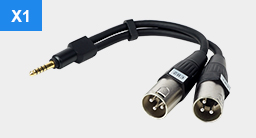 4.4mm to Dual XLR Male